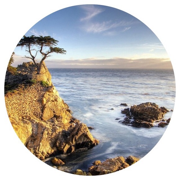 Meet your Posher, Irenea - Picture 2 of 4