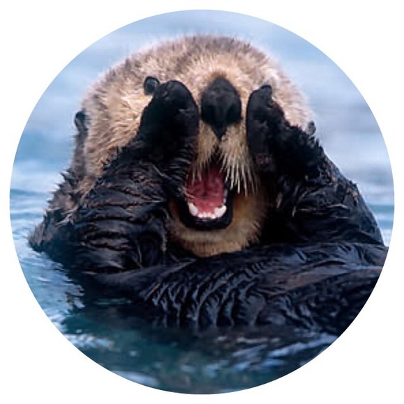 Meet your Posher, Irenea - Picture 3 of 4