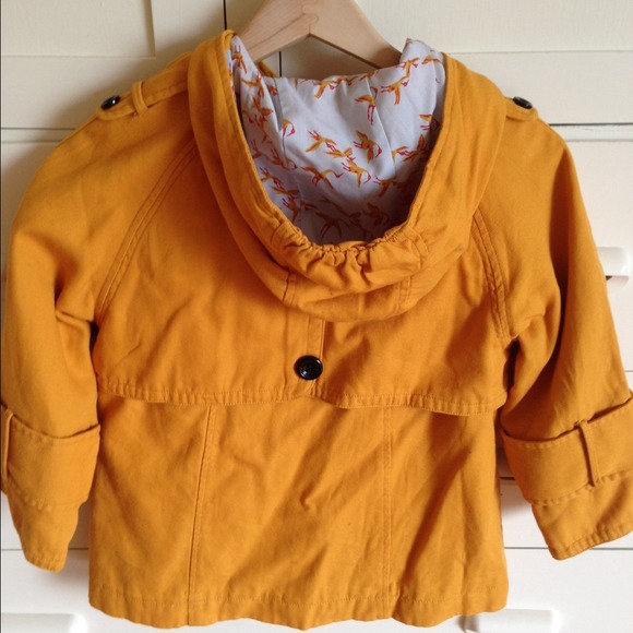 Yellow jacket - Picture 2 of 2