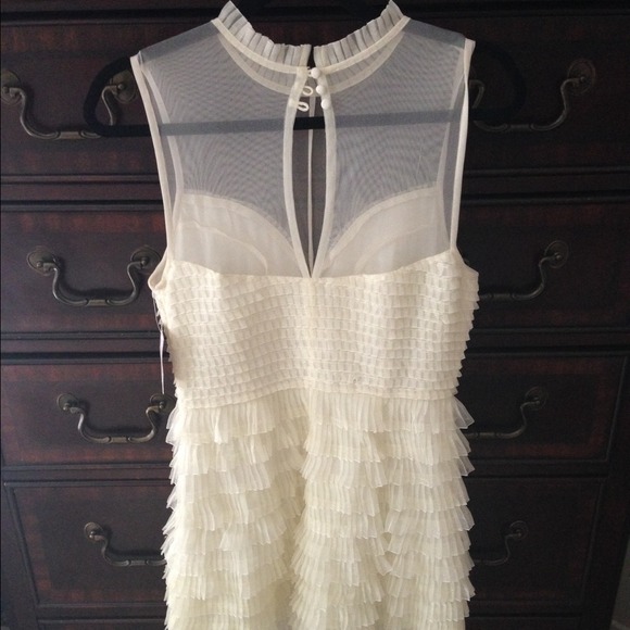 {FP Pleated Ruffle Dress} - Picture 3 of 4