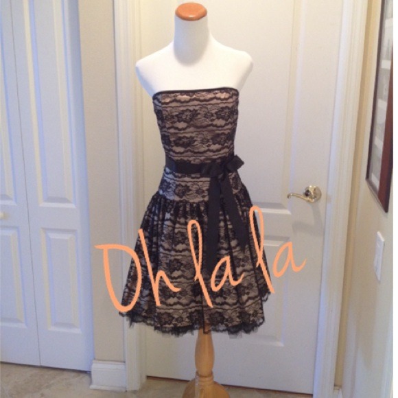 Black Lace overlay Cocktail Dress