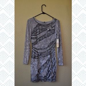 Silver Velvet Urban Outfitters Dress NWT