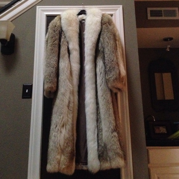 Beautiful Fox Coat