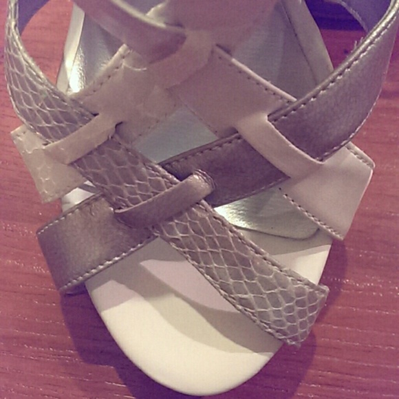 Shoes - Picture 2 of 3