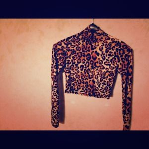 Leopard Print Crop Top