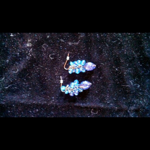 Blue beaded earrings