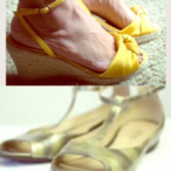 Bundle for alisniemont