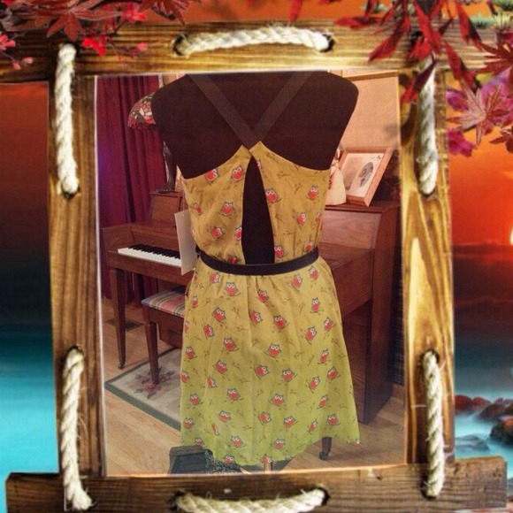 🔴BUNDLED🔴🙀Cutest Little Owl I Ever Did See🙀 - Picture 2 of 4