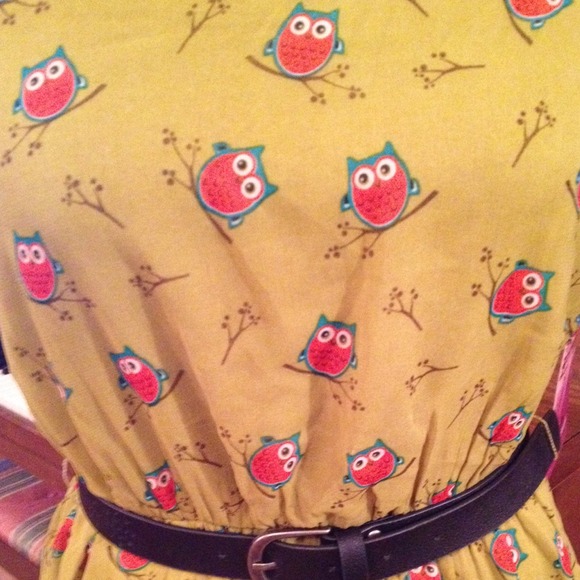 🔴BUNDLED🔴🙀Cutest Little Owl I Ever Did See🙀 - Picture 3 of 4