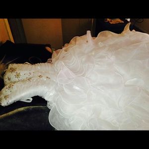 quince?era/sweet16 gown
