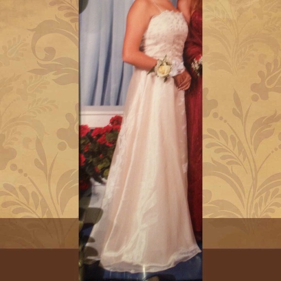 Formal / Prom Dress Champaign
