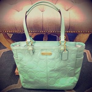 💕Coach Set Mint Green Coach Handbag Bag & Wallet