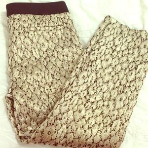NWT Ann Taylor Loft dressy pants
