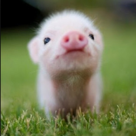 Bundle for missjenny2679 😊❤️