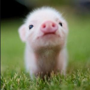 Bundle for missjenny2679 😊❤️