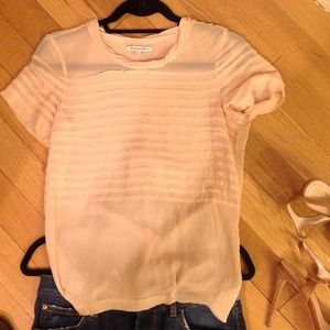 Pretty blush sheer blouse