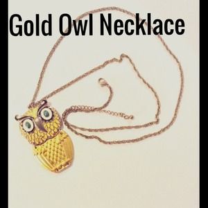 🚨🎉REDUCED🎉🚨 Gold Owl Necklace