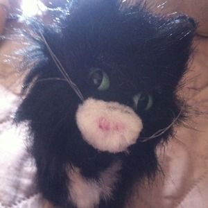 American girl cat