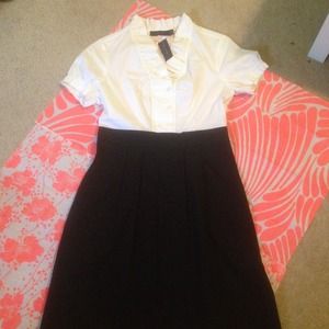 *SOLD* NWT The Limited Work Dress
