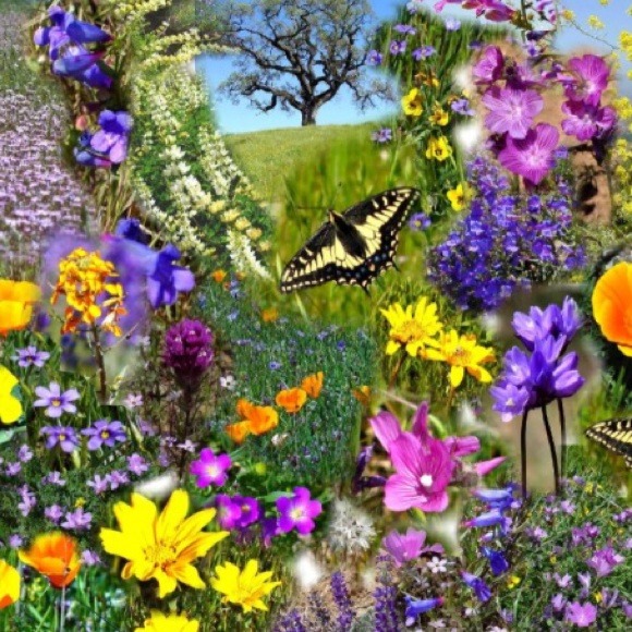 Bundle for lissa1620😊❤️