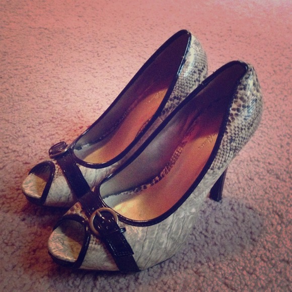 * DISCOUNTED* Charlotte Russe! SnakeSize 9