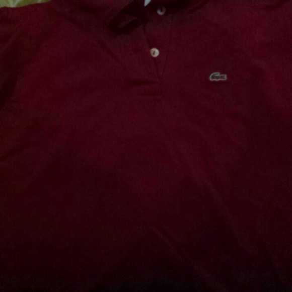 Lacost T-shirt pack - Picture 3 of 4