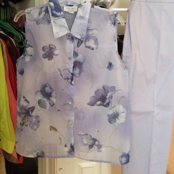 Blouse poly, & cotton sateen/ spandex ankle pants - Picture 2 of 4