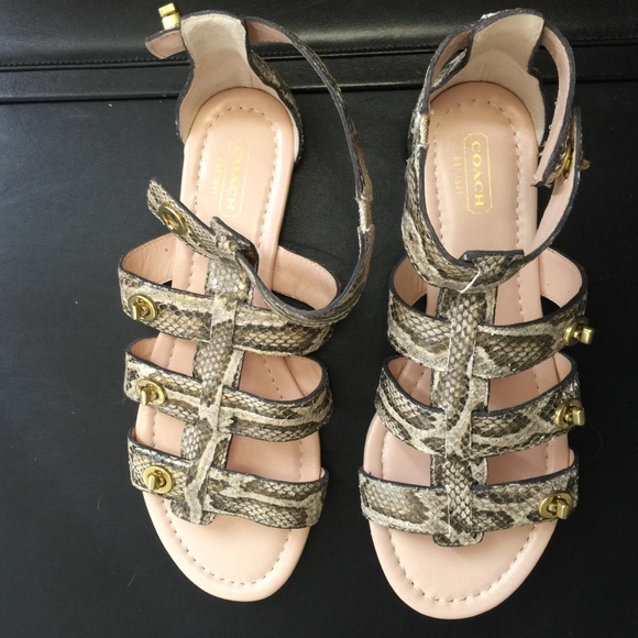 coach gladiator sandals