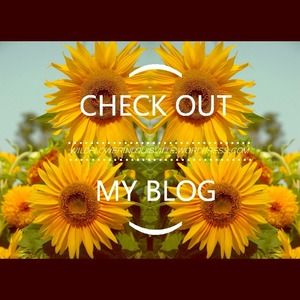Check out my Blog!