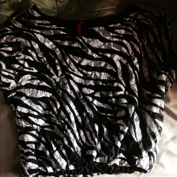 Zebra shirt