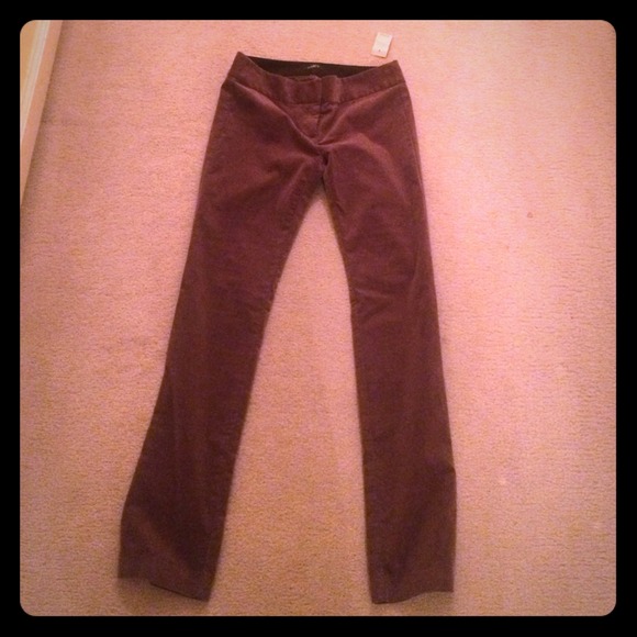 Ann Taylor Loft pants