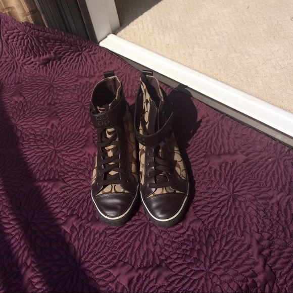 Coach Sneakers : Foster