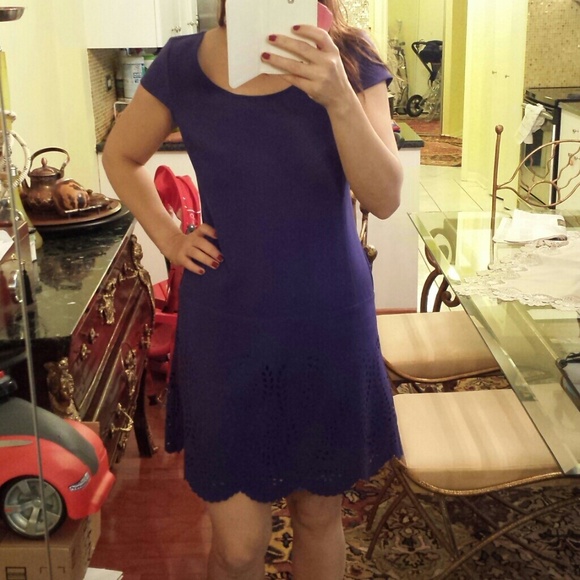 SOLD! Reduced! Ann Taylor dress - Picture 4 of 4