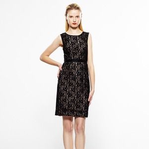 BCBGMaxAzria black lace dress NWT