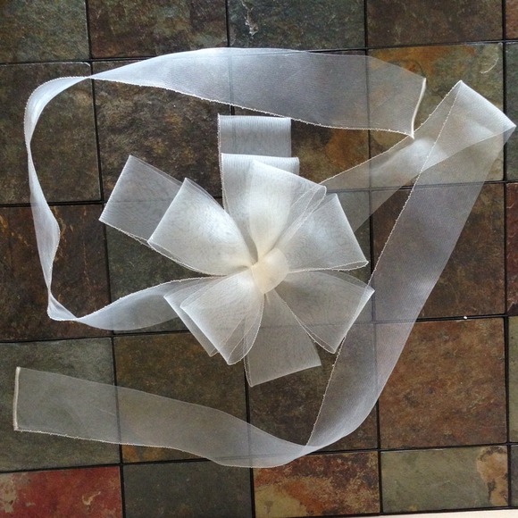 White by Vera Wang Horsehair Sash