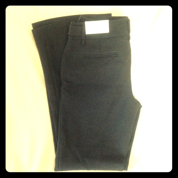 LOFT pants NWT