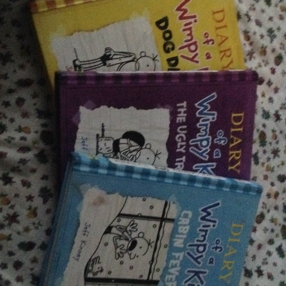 Diary of a Wimpy Kid book series - Picture 3 of 4
