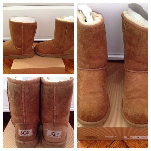 Chestnut Ugg Classic