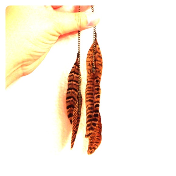 Brown and black feather earrings - Picture 1 of 1