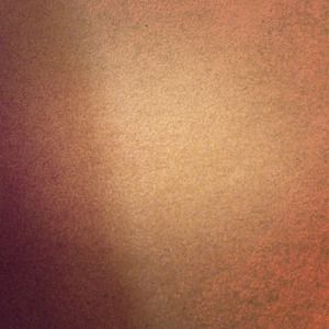 TEST - Do not buy - A swatch of beige carpet