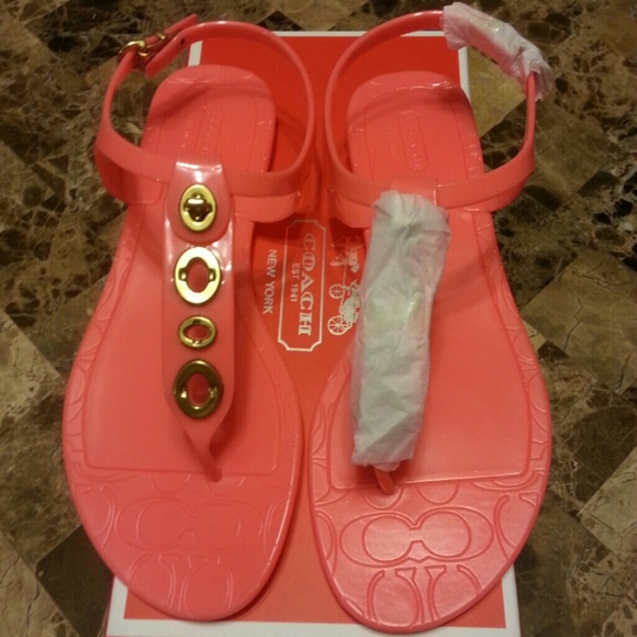 Coach Shoes - Coach Phila Jelly Sandal
