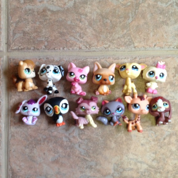 Little Pet shop