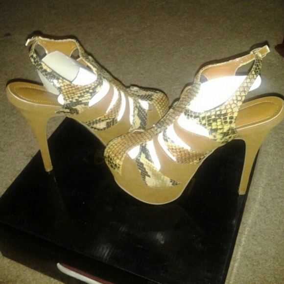 Brand New Platform Snake Print Pumps