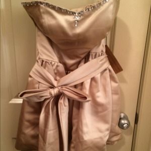 Short Champagne cocktail reception Prom Dress