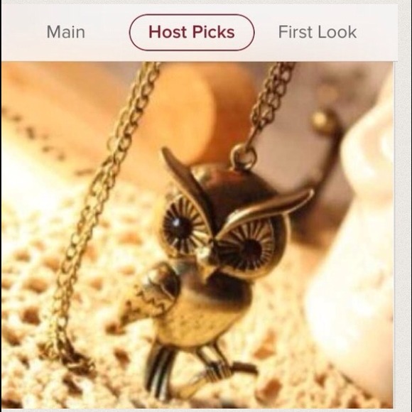 Sold out⚡️sale⚡️🎉HP🎉Owl shape Sweater necklace - Picture 1 of 2