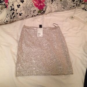 Sparkly skirt from h&m