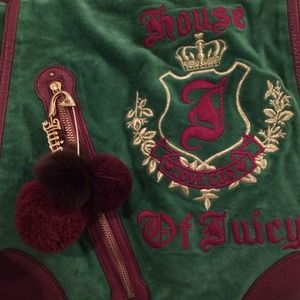 Green and purple juicy laptop/ purse