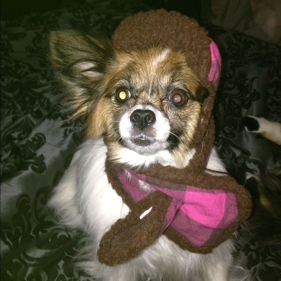 dog clothes $7 for both