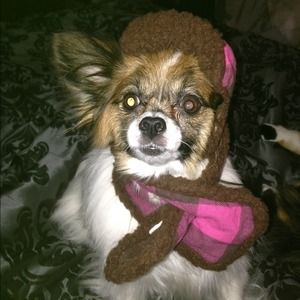 dog clothes $7 for both