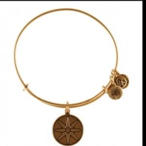 Alex and Ani Star of Venus